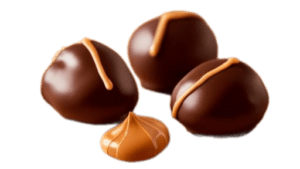 Peanut Butter Stuffed Chocolate Covered Dates